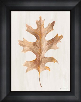 Framed Fallen Leaf I Texture Print