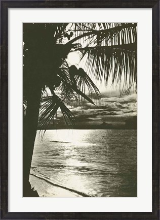 Framed Palm Beach II Print