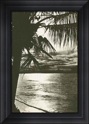 Framed Palm Beach II Print