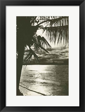 Framed Palm Beach II Print