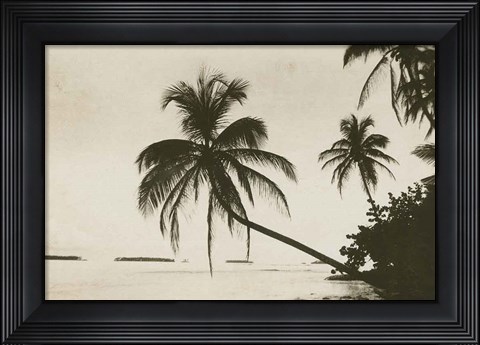 Framed Palm Beach I Print