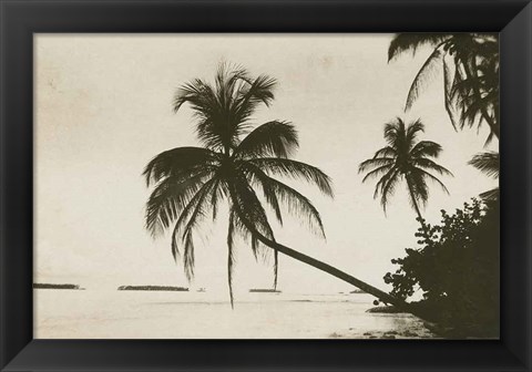 Framed Palm Beach I Print