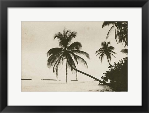 Framed Palm Beach I Print