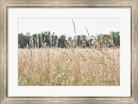 Framed Summer Field II Print