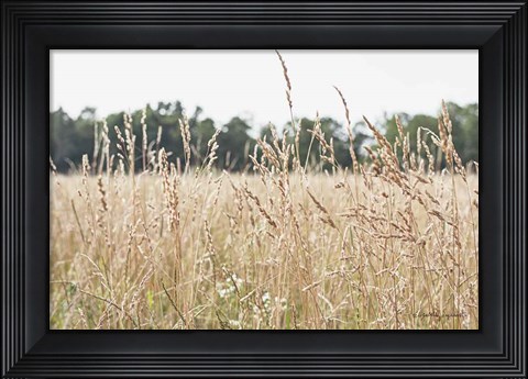 Framed Summer Field II Print
