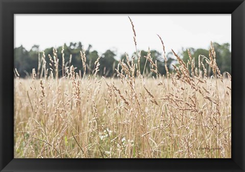 Framed Summer Field II Print