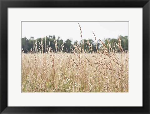 Framed Summer Field II Print