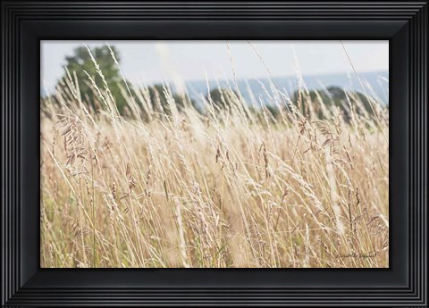 Framed Summer Field I Print