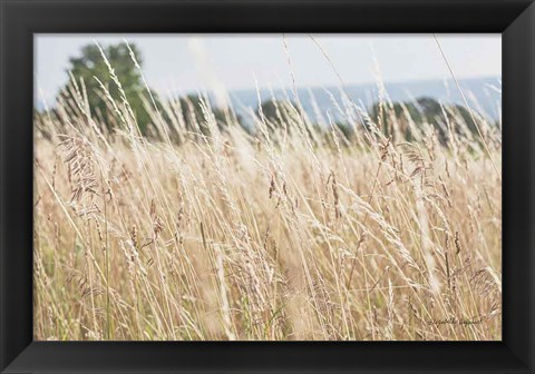 Framed Summer Field I Print