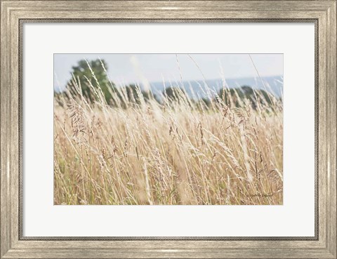 Framed Summer Field I Print
