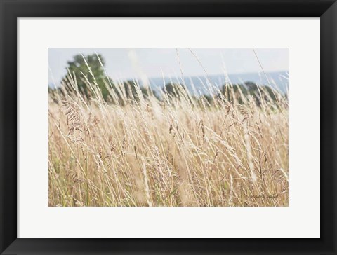 Framed Summer Field I Print