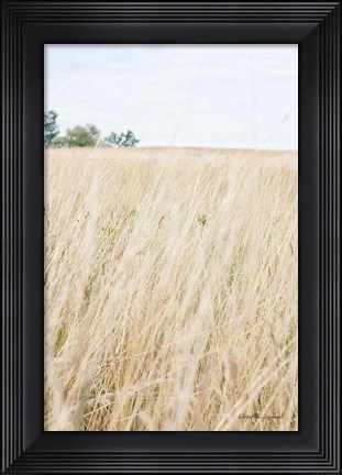 Framed On the Edge III Print