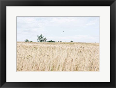 Framed On the Edge II Print