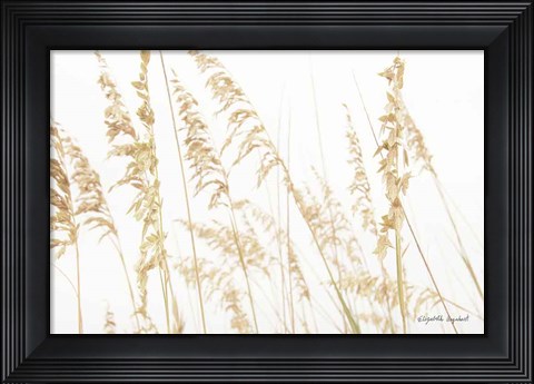 Framed Blowing in the Wind II Print