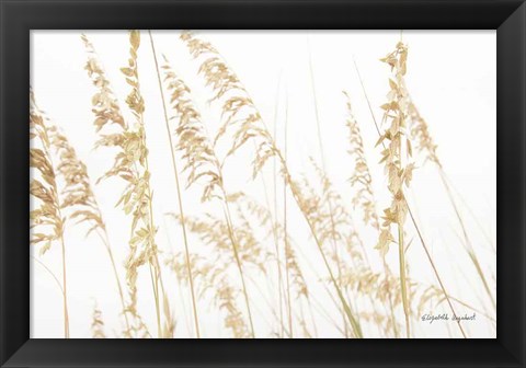 Framed Blowing in the Wind II Print