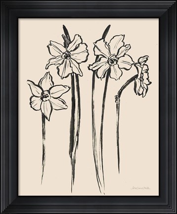 Framed Ink Sketch Daffodils Print