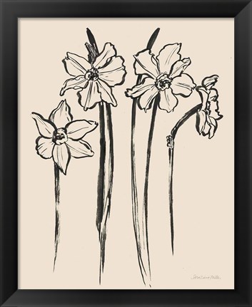 Framed Ink Sketch Daffodils Print