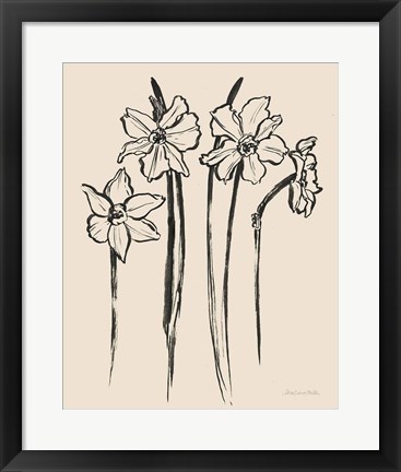 Framed Ink Sketch Daffodils Print