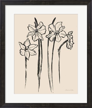 Framed Ink Sketch Daffodils Print
