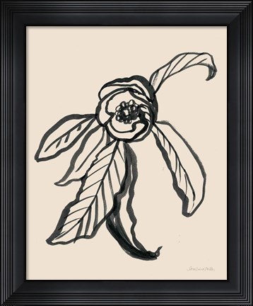 Framed Ink Sketch Flower Print