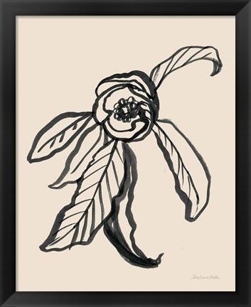 Framed Ink Sketch Flower Print