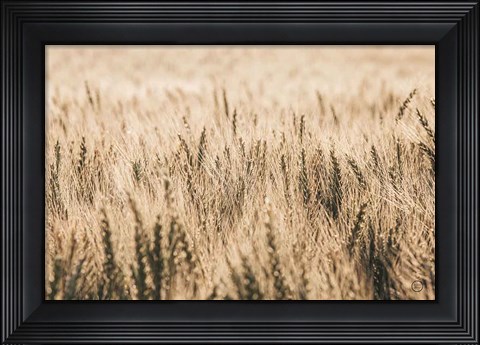 Framed Dakota Wheat Fields Print