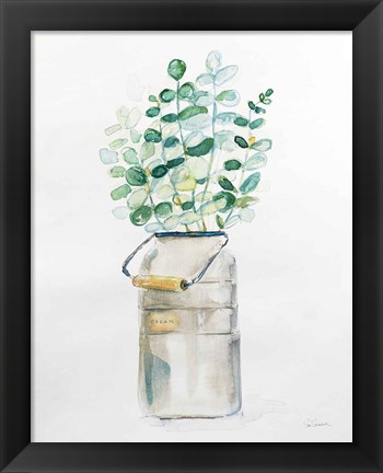 Framed Market Eucalyptus Print