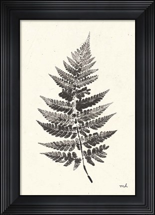 Framed Walk in the Woods II Print