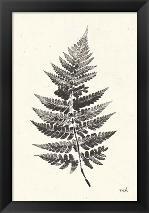 Framed Walk in the Woods II Print