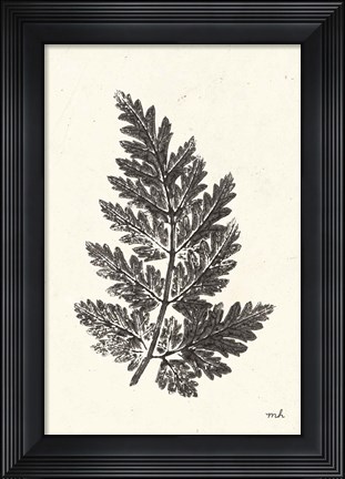 Framed Walk in the Woods I Print