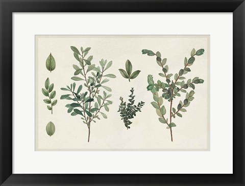 Framed Victorian Garden Chart I Print