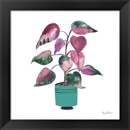 Framed Potted Jewels II Aqua Print