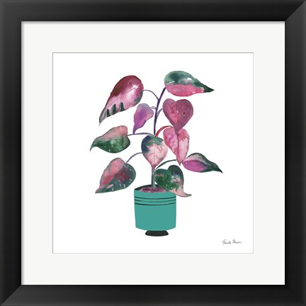Framed Potted Jewels II Aqua Print