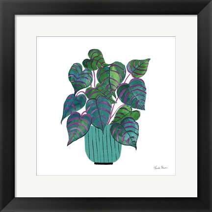 Framed Potted Jewels I Aqua Print