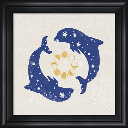 Framed Star Dolphins Print