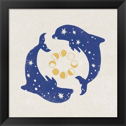 Framed Star Dolphins Print