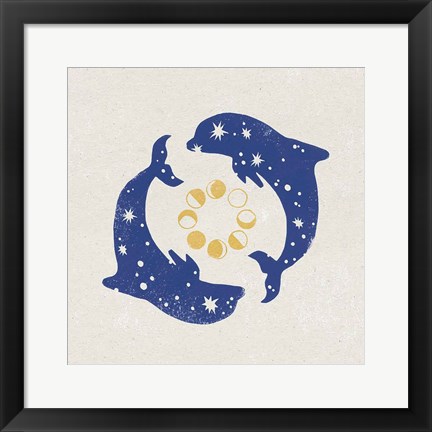 Framed Star Dolphins Print