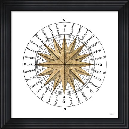 Framed Solar Globe II Print