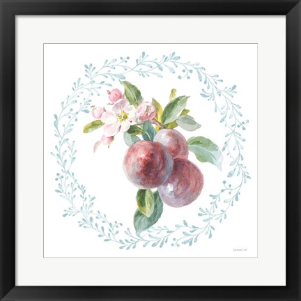 Framed Blooming Orchard V Print