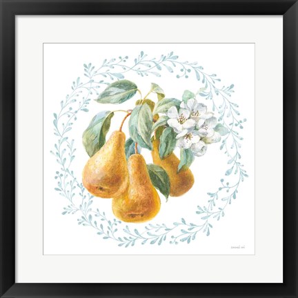 Framed Blooming Orchard IV Print