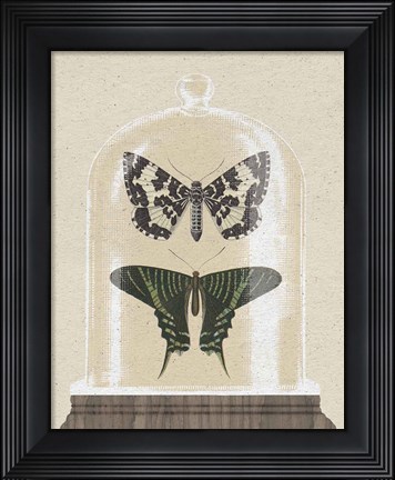 Framed Cottage Butterflies II Print