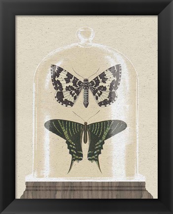 Framed Cottage Butterflies II Print