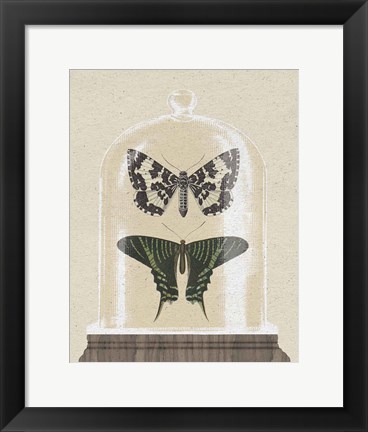 Framed Cottage Butterflies II Print