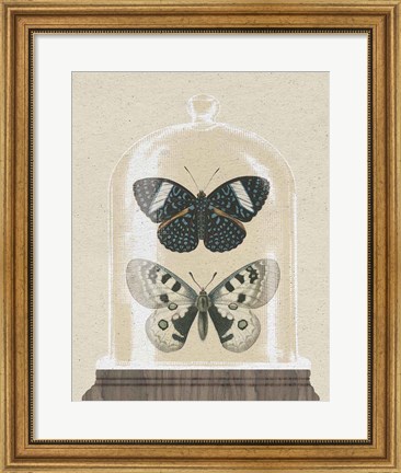Framed Cottage Butterflies I Print
