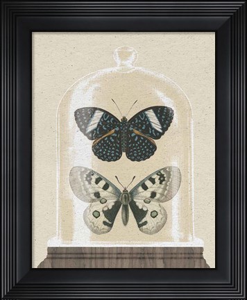 Framed Cottage Butterflies I Print