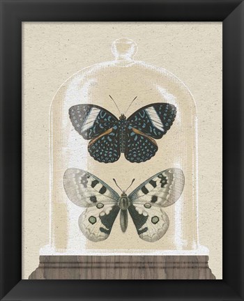 Framed Cottage Butterflies I Print