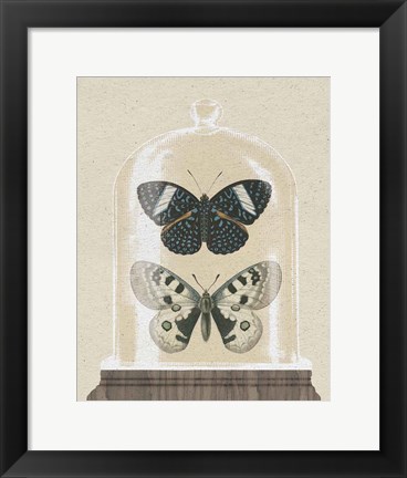 Framed Cottage Butterflies I Print