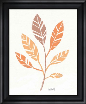 Framed Botanical Sketches III Spice Print