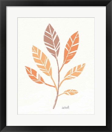 Framed Botanical Sketches III Spice Print