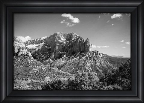 Framed Timber Top Print
